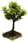 File:3 StoneAge Tree.png