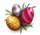 File:Eggs2.png